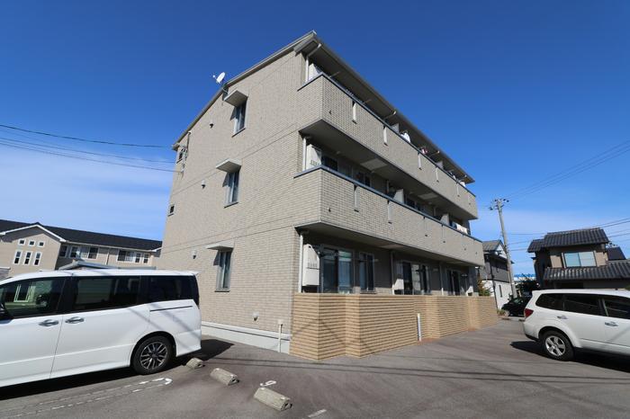 プリムラ
