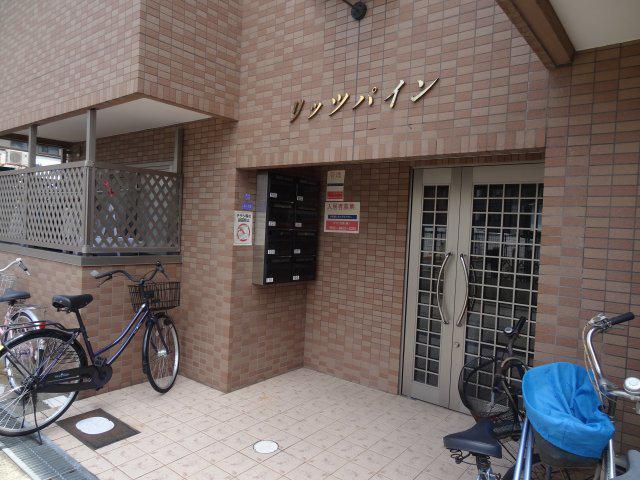 リッツパイン