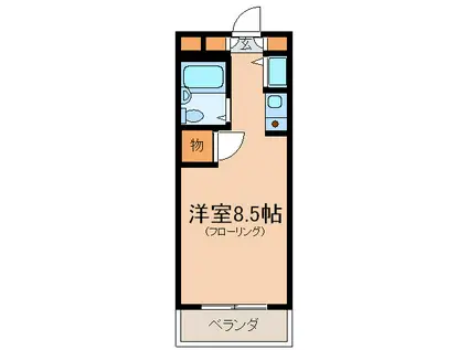ドエル野沢(ワンルーム/2階)の間取り写真