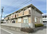 エクセルコート