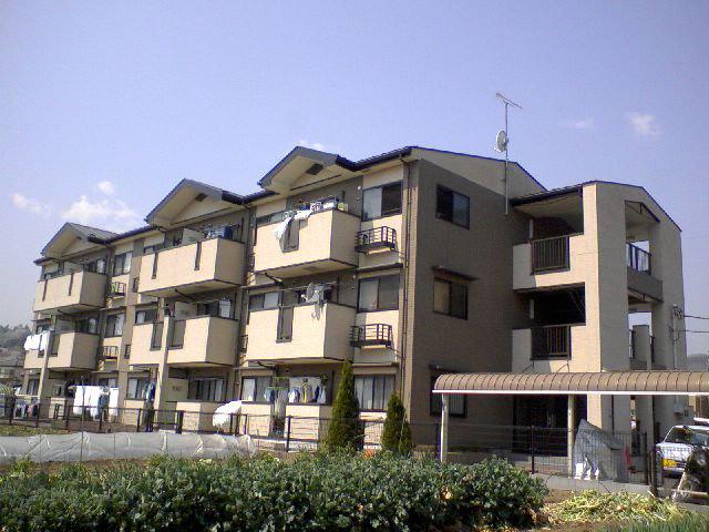 白蔵 IV