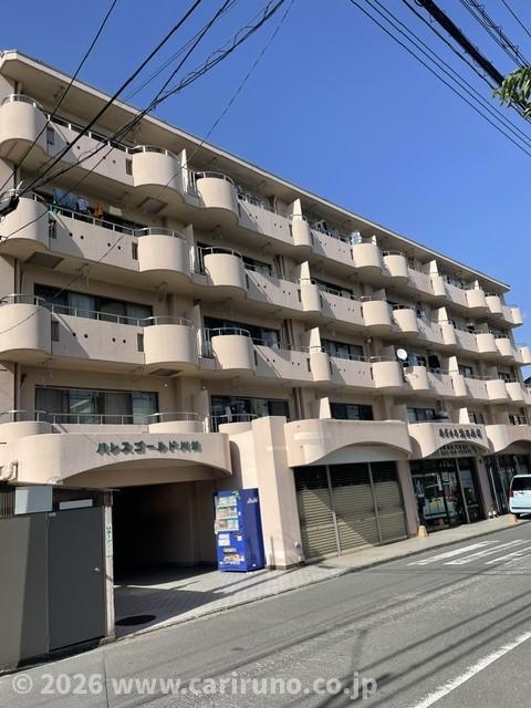 パレスゴールド川越(2DK/2階)
