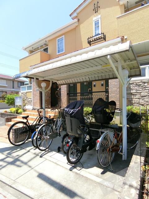イジュヴィア