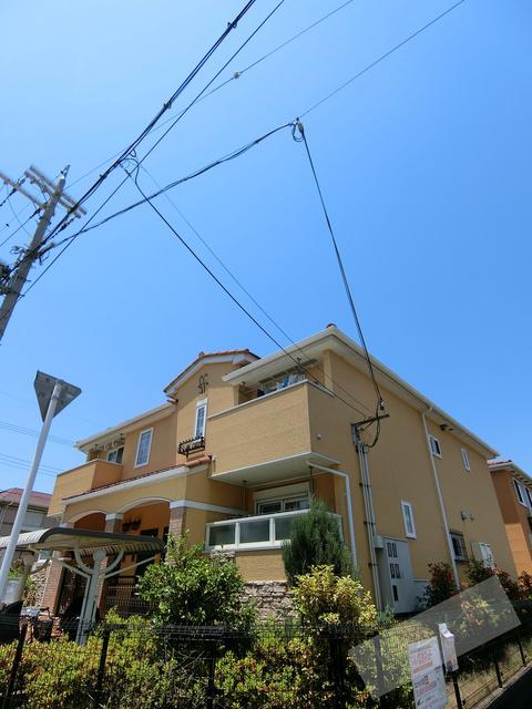 イジュヴィア