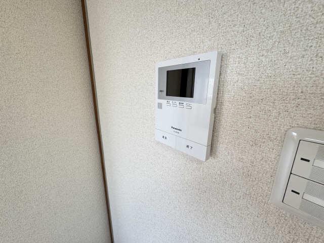 エルフ杉の木