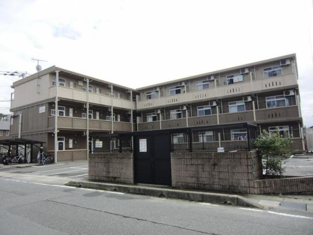 エルジーナ