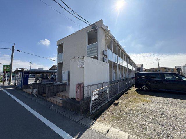 レオネクストモーニングローリー