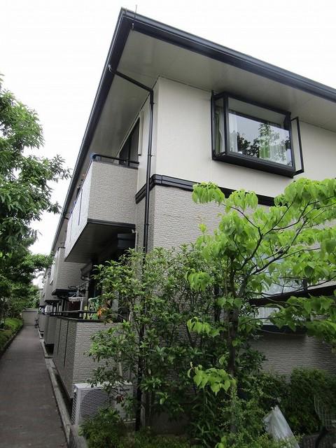 アムール南花田