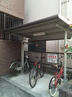シェーネ幸