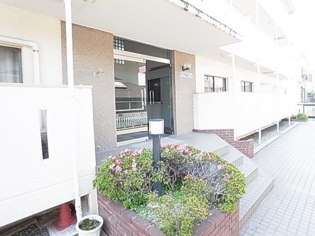 どみとりーときわ