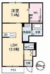 グリシーナ(1LDK/1階)の間取り写真