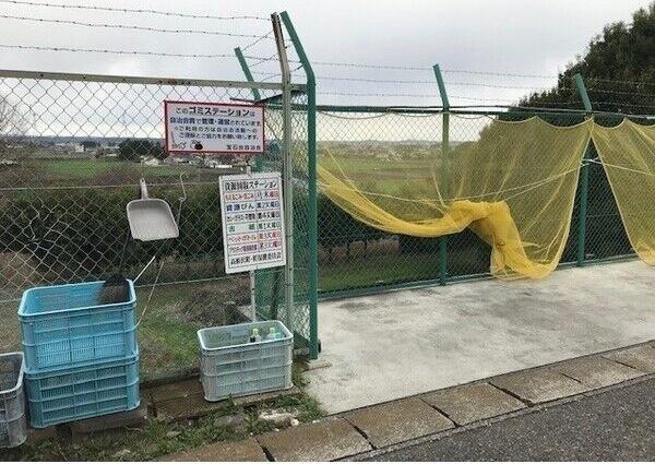 コーポストリーム