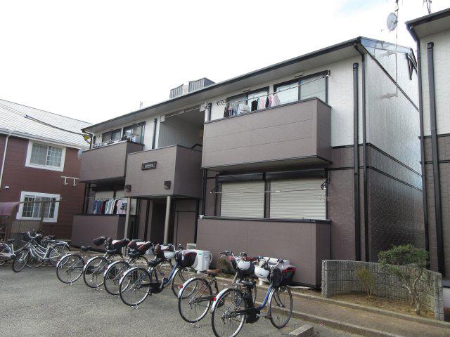 チェスナット