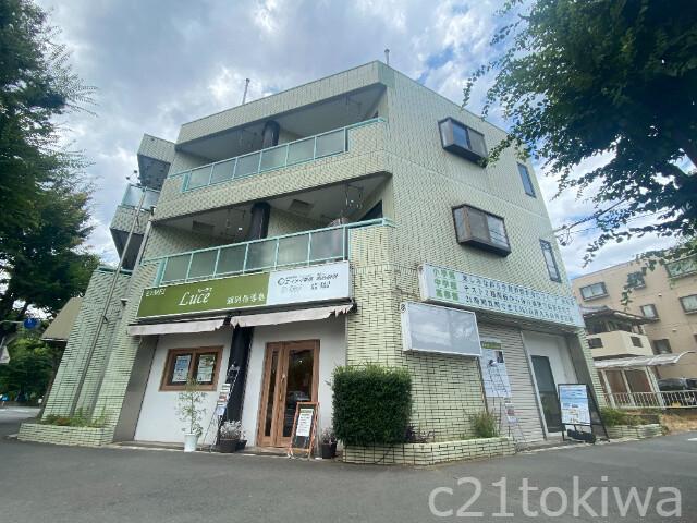 秋桜29
