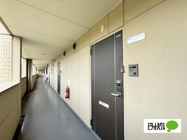 ヴェニール紀ノ川