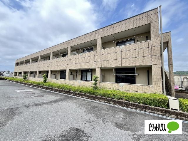 ヴェニール紀ノ川
