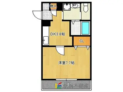 アムールポパイ(1K/1階)の間取り写真