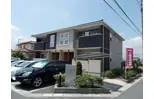プリムローズC