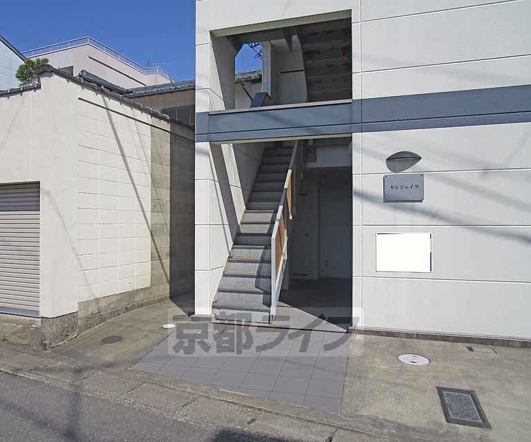 セレジェイラ