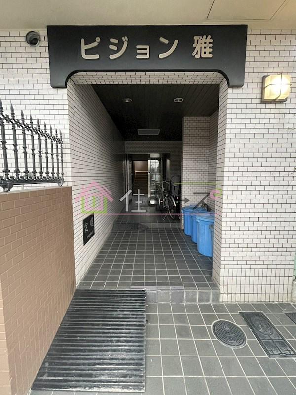 ピジョン雅