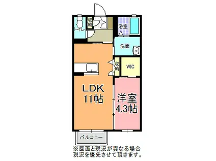 メゾン・ド・華 B棟(1LDK/1階)の間取り写真