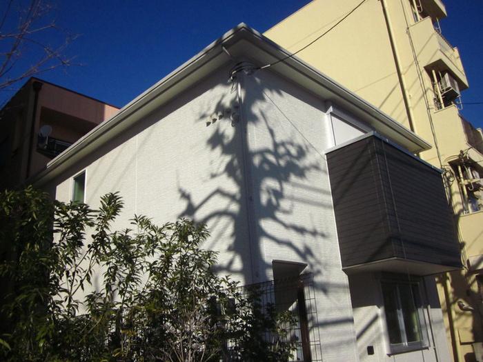 CASA ORILLA