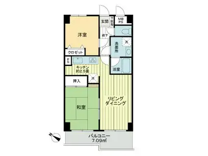 ライオンズプラザ金町(2LDK/3階)の間取り写真