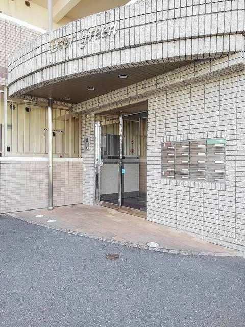 エバー グリーン