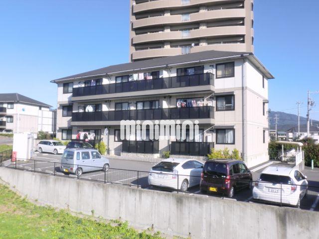 SUN WAKAYAMA