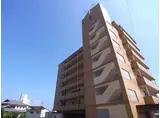 アーバンエルフ