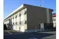 エバーグリーンA