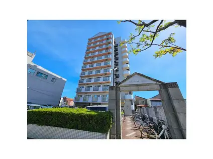 メゾン・ド・デトロワ(1K/11階)の外観写真