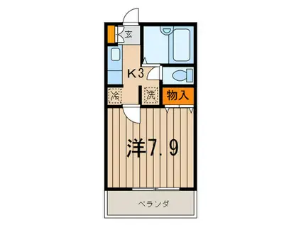 トレジャー高津(1K/2階)の間取り写真