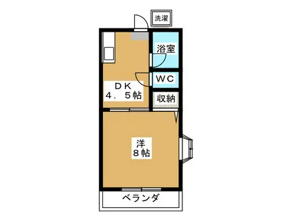 ハイムカトレア(1DK/1階)の間取り写真