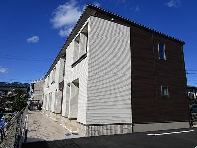 ヒビスクス