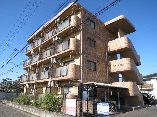 ハイネス郡家(1K/4階)