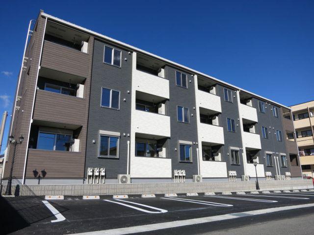 フェリチタ ナギの木