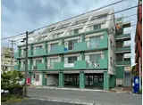 アリオンササヌキ
