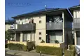 セルリアンコートE