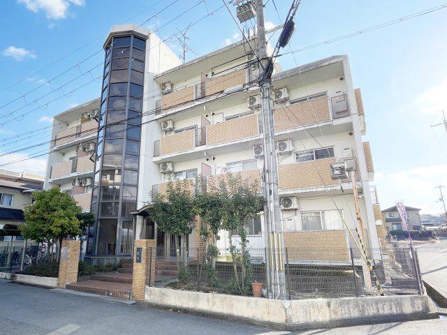 メゾン市川壱番館(1K/3階)
