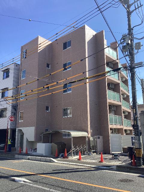 DAIKAN31 グレイシア