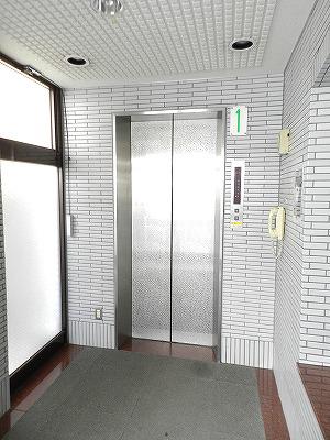 ティンバー小林