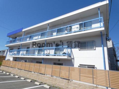 レナトゥス