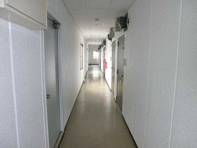 パームツリー月寒東