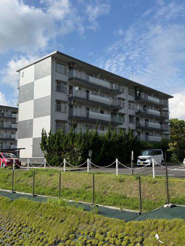 緑苑東団地4棟(3DK/5階)