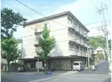 コーポ川