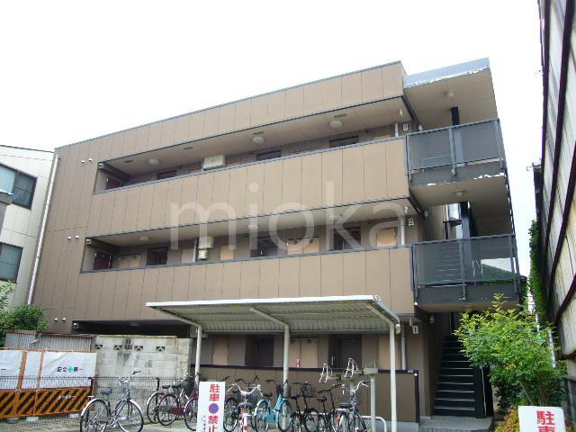 ドミール アプリコット