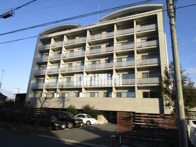 TERZO