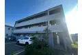 ヴェルドミールステラ