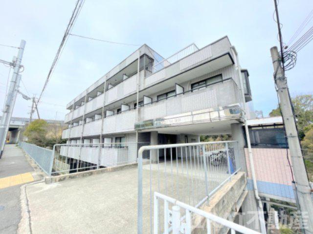 レイナ錦織
